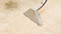 Carpet cleaning Etobicoke image 1